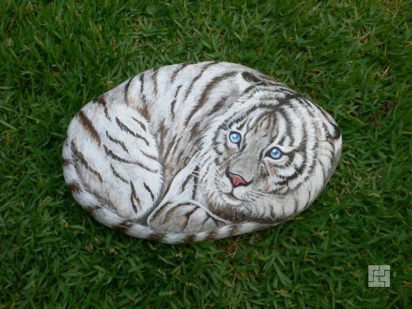 нарисованный на камне кот