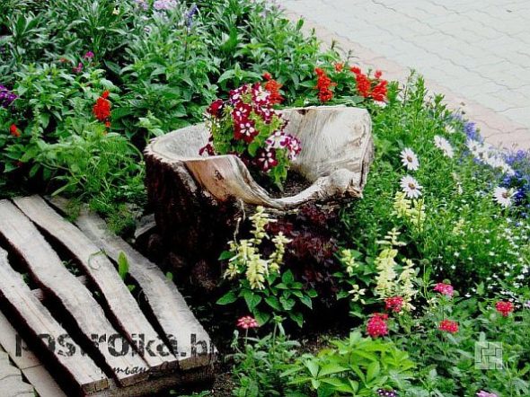 Использование пней и коряг для украшения ландшафта