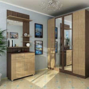 Прихожая со встроенным шкафом-купе
